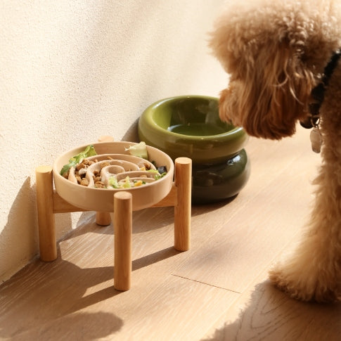 Wave Slow Feeder Dog Bowl - Prevents Fast Eating & Bloating | Non-Slip, BPA-Free
