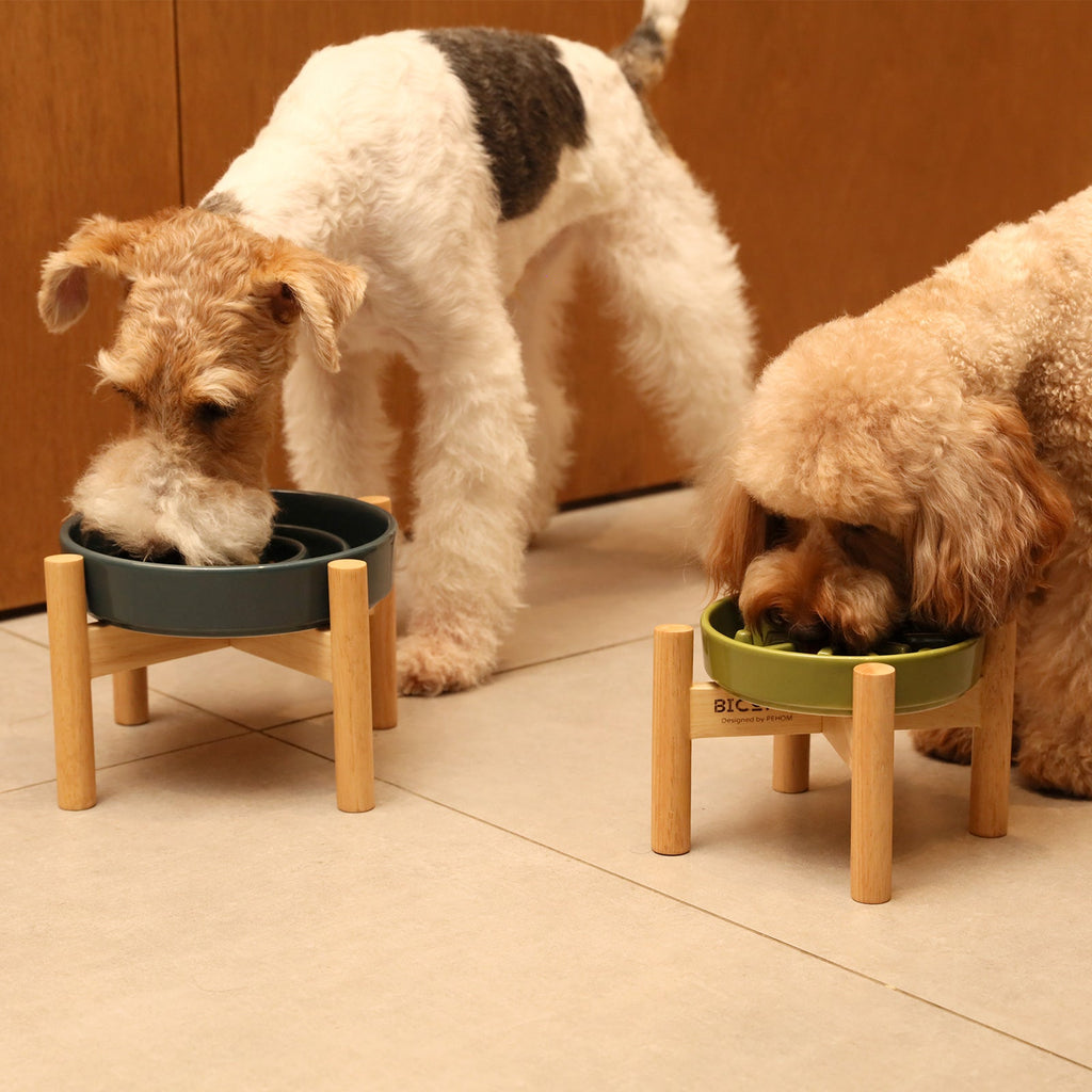 Wave Slow Feeder Dog Bowl - Prevents Fast Eating & Bloating | Non-Slip, BPA-Free
